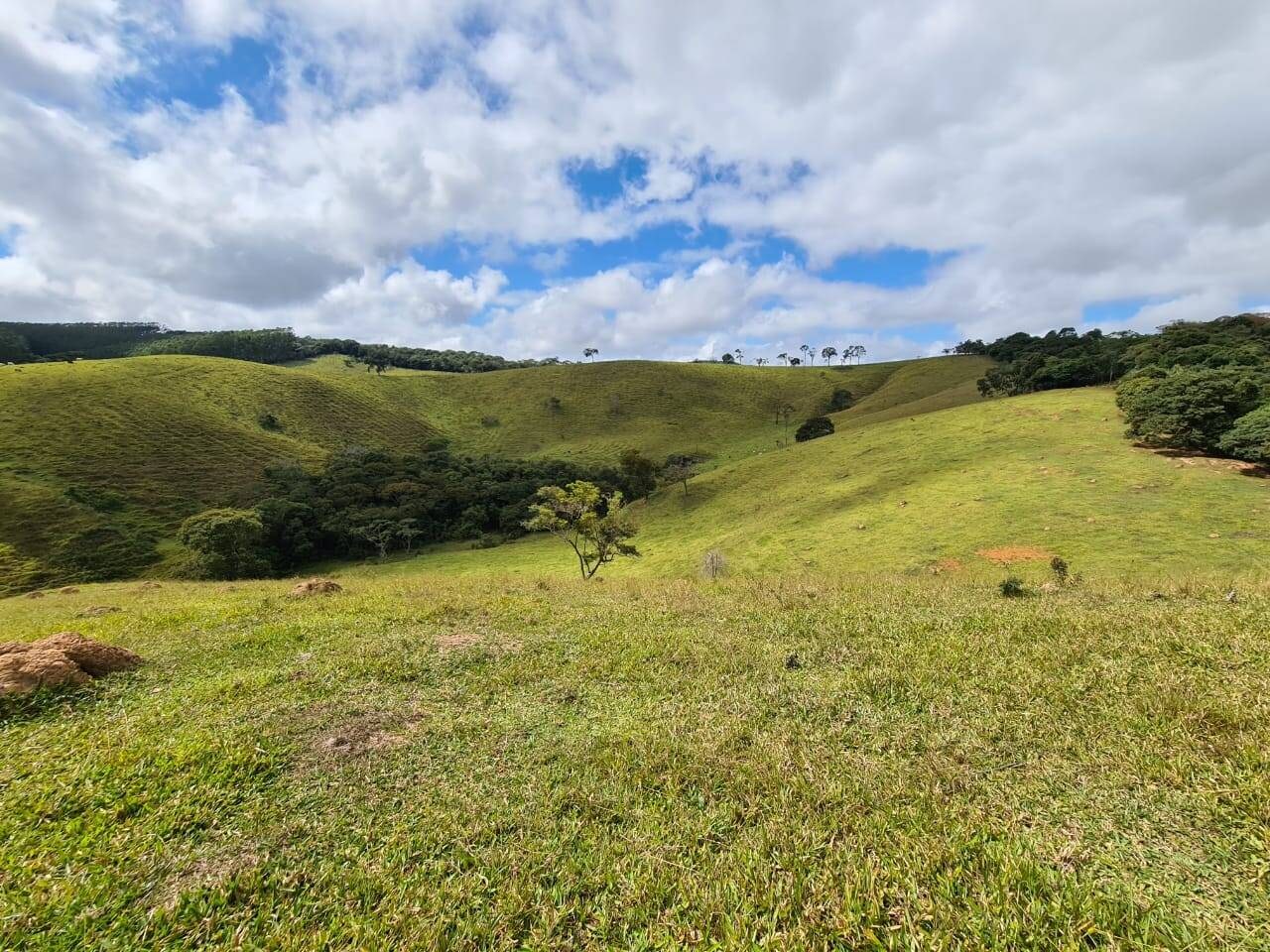 Sítio, 3 quartos, 51 hectares - Foto 17