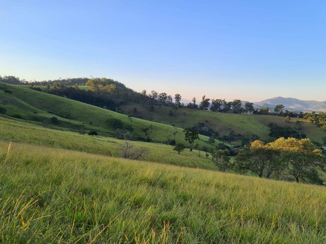 Sítio, 4 quartos, 605 hectares - Foto 26