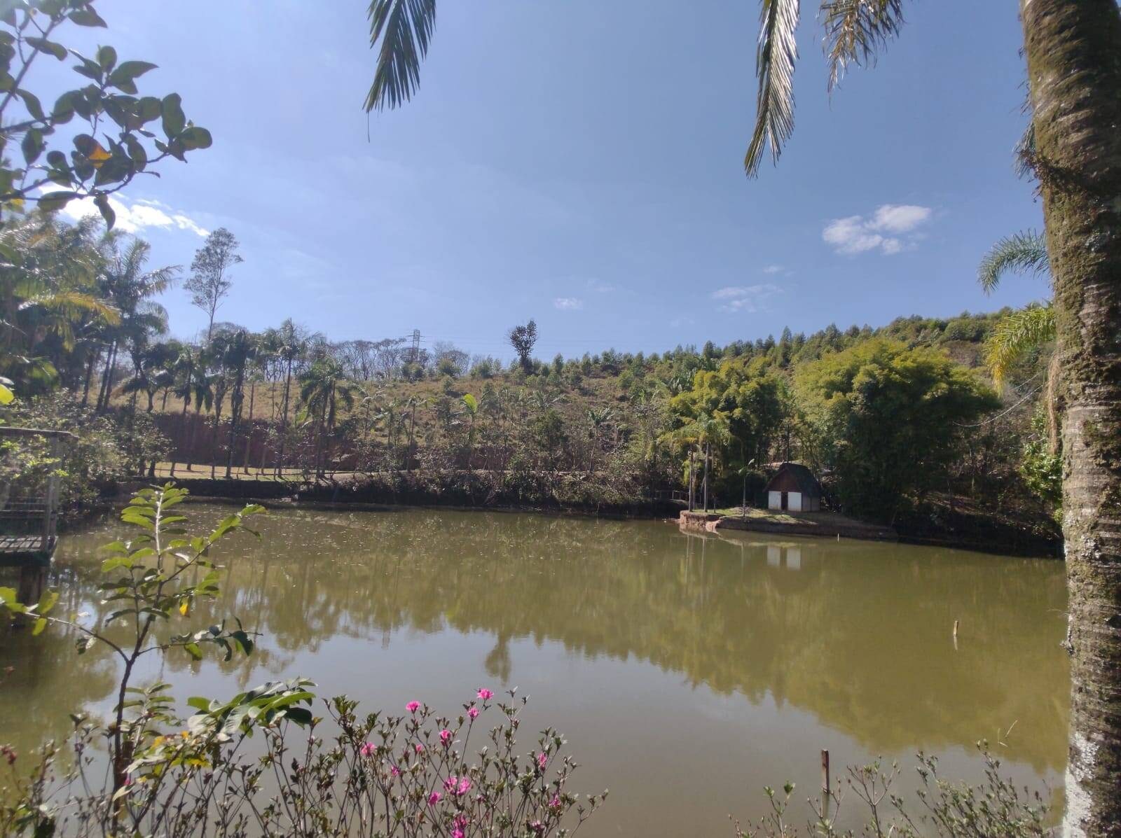 Sítio, 6 quartos, 24 hectares - Foto 10