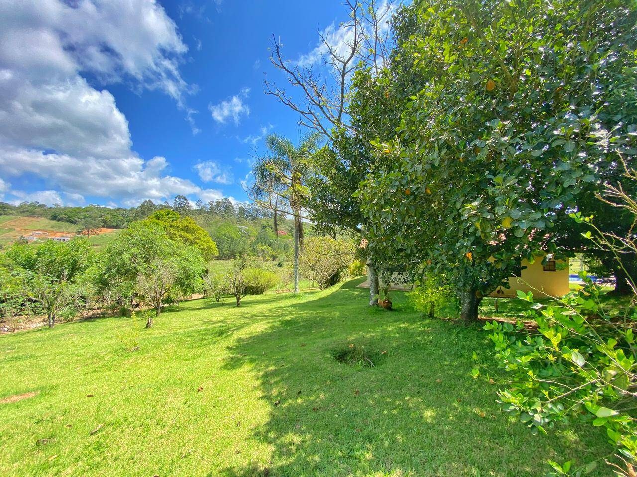 Sítio, 6 quartos, 6 hectares - Foto 18