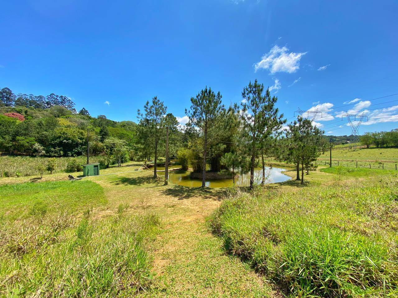 Sítio, 6 quartos, 6 hectares - Foto 39