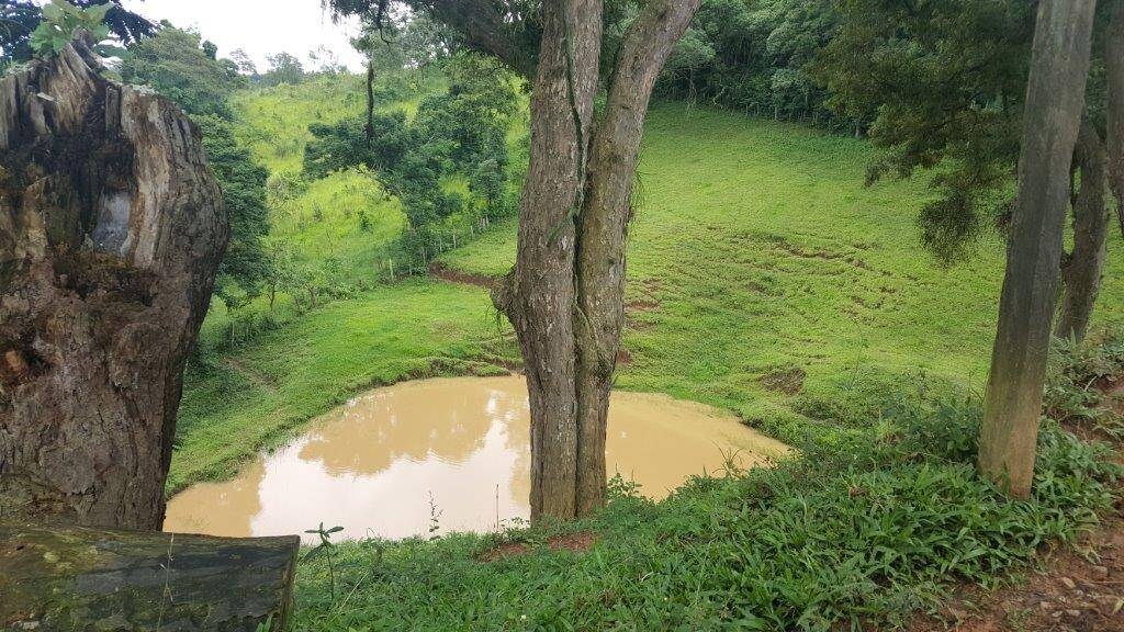 Chácara, 2 quartos, 10 hectares - Foto 15