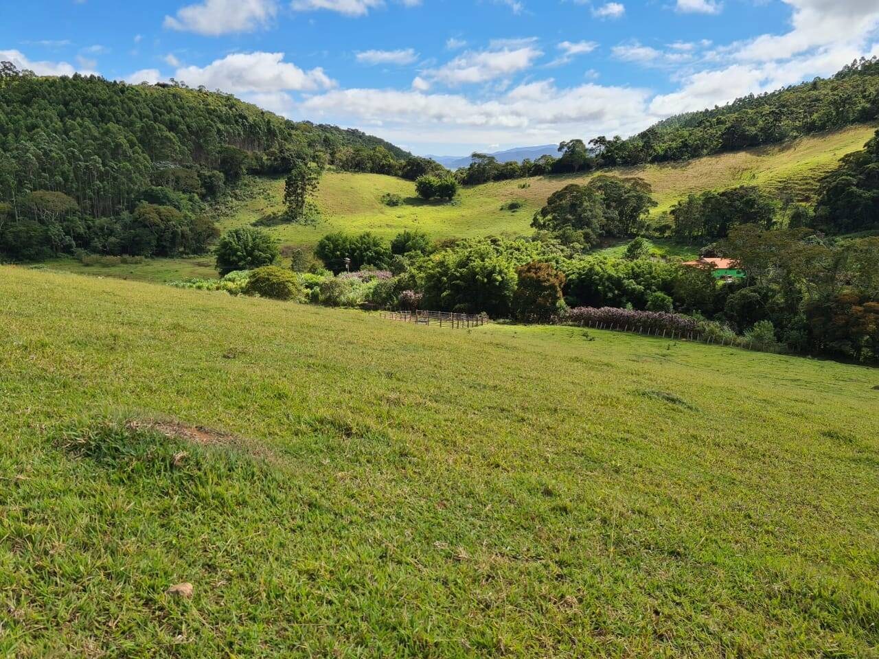 Sítio, 3 quartos, 51 hectares - Foto 11