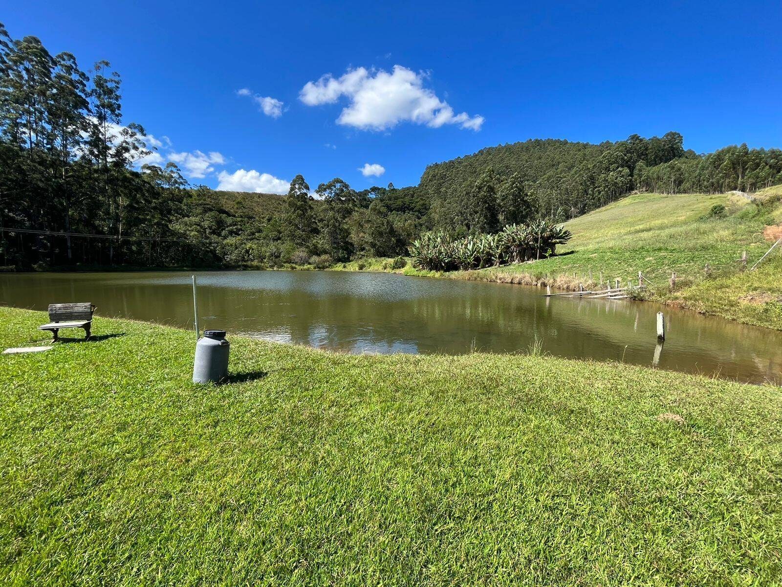 Chácara, 4 quartos, 196 hectares - Foto 8
