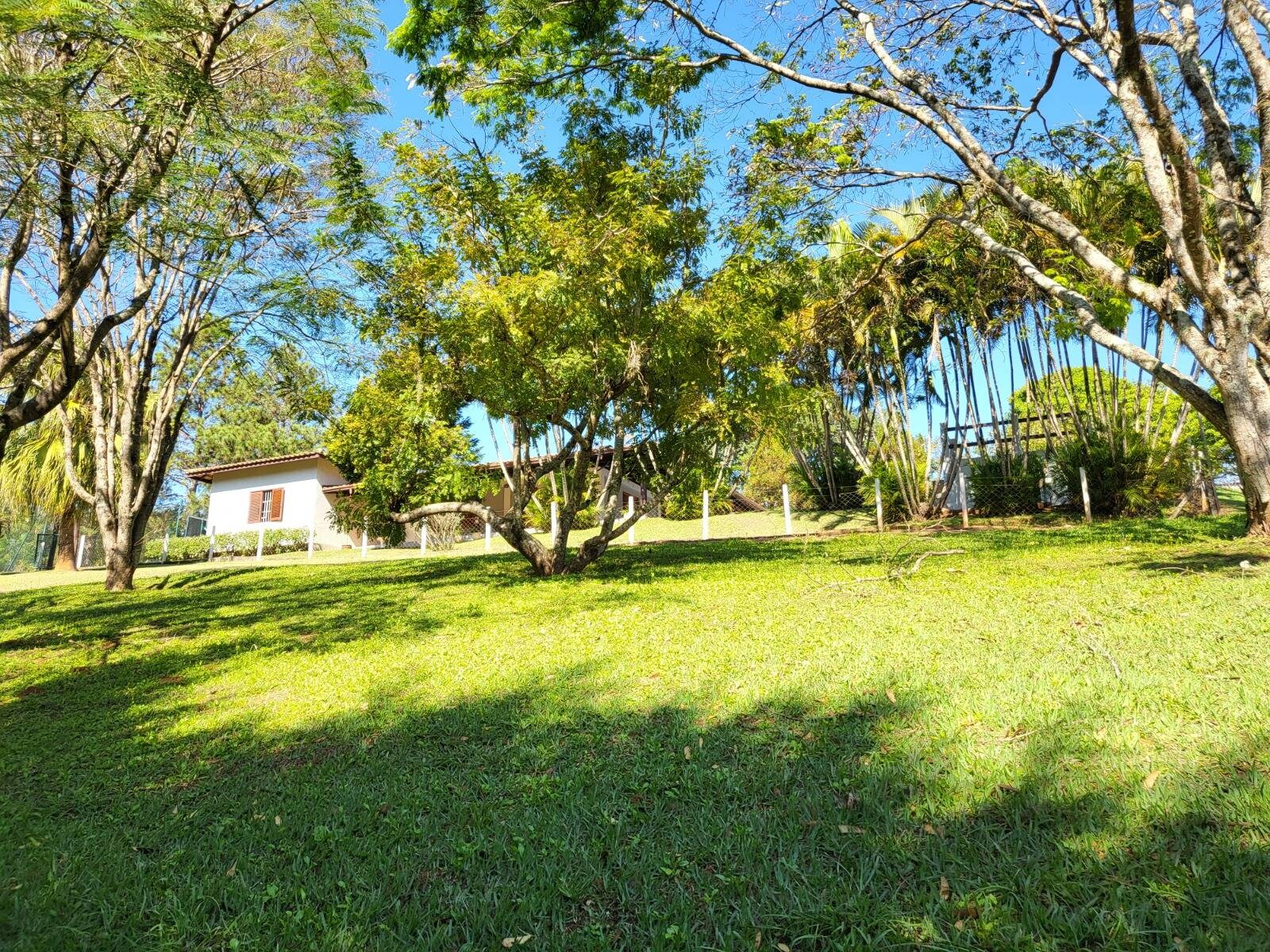 Sítio, 7 quartos, 3 hectares - Foto 40