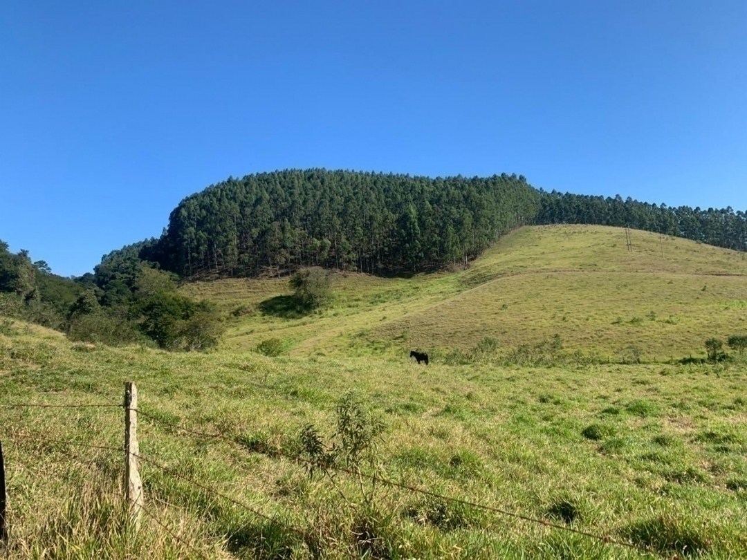 Sítio, 3 hectares - Foto 4