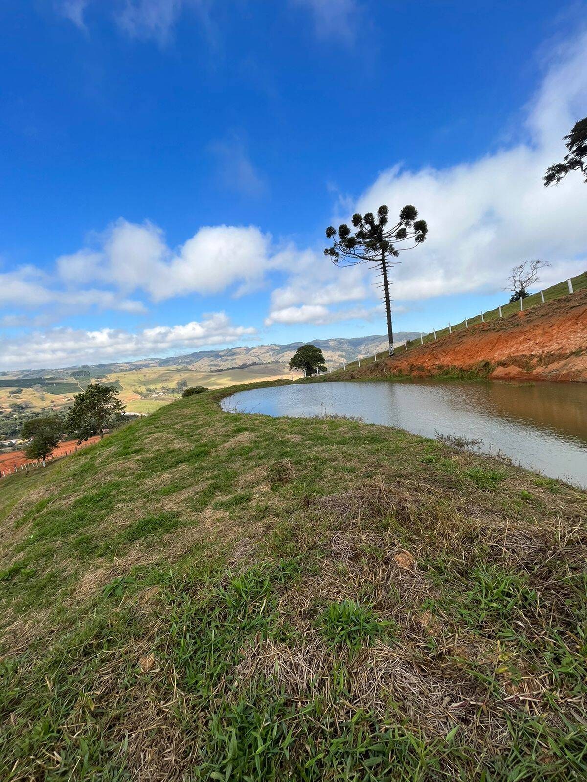Terreno, 8000 m² - Foto 2