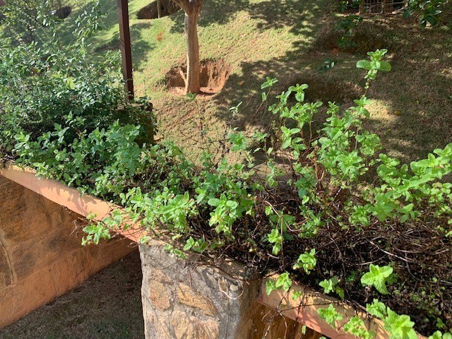 Chácara, 8 quartos, 2400 m² - Foto 13