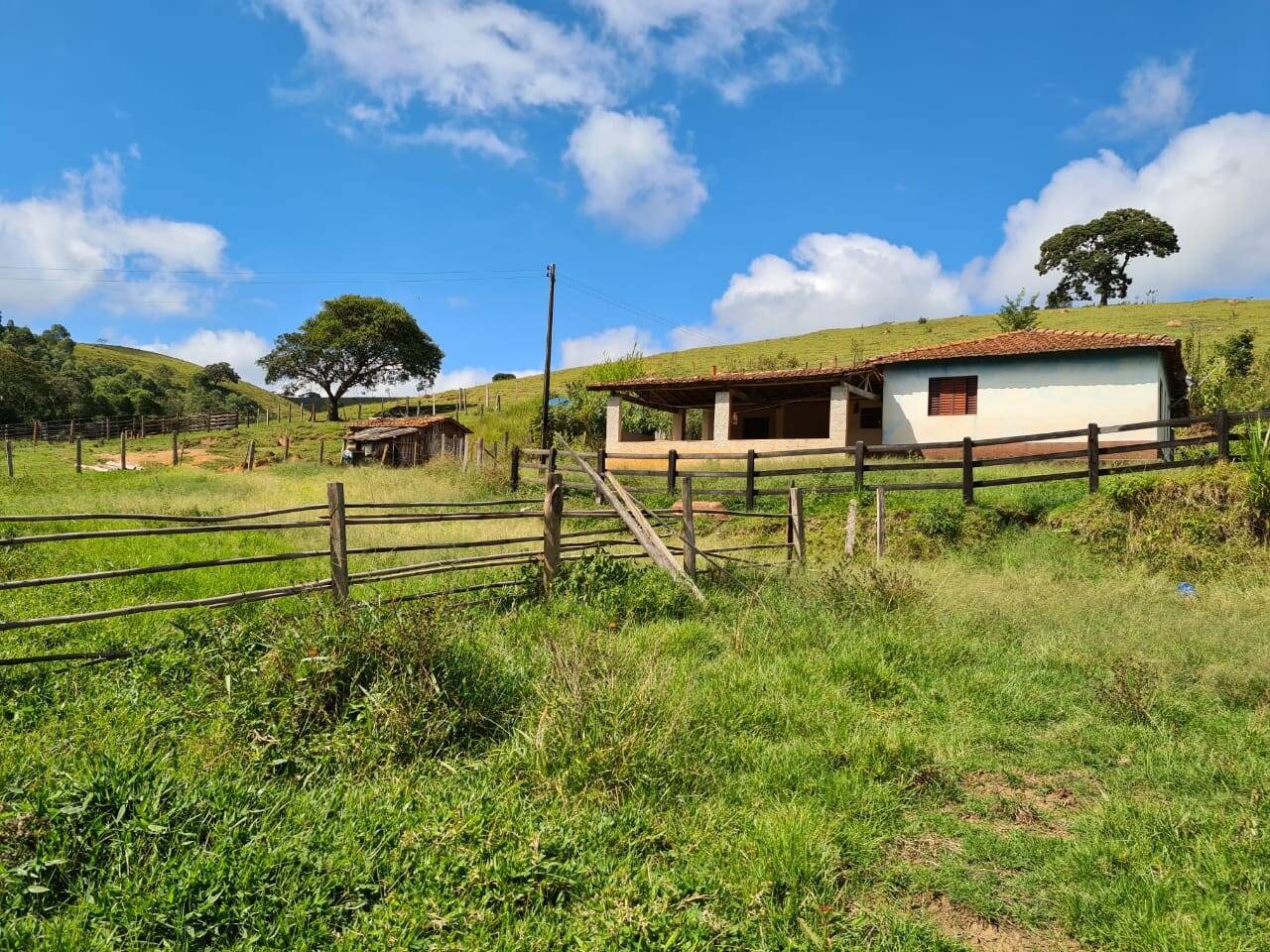 Sítio, 3 quartos, 51 hectares - Foto 19