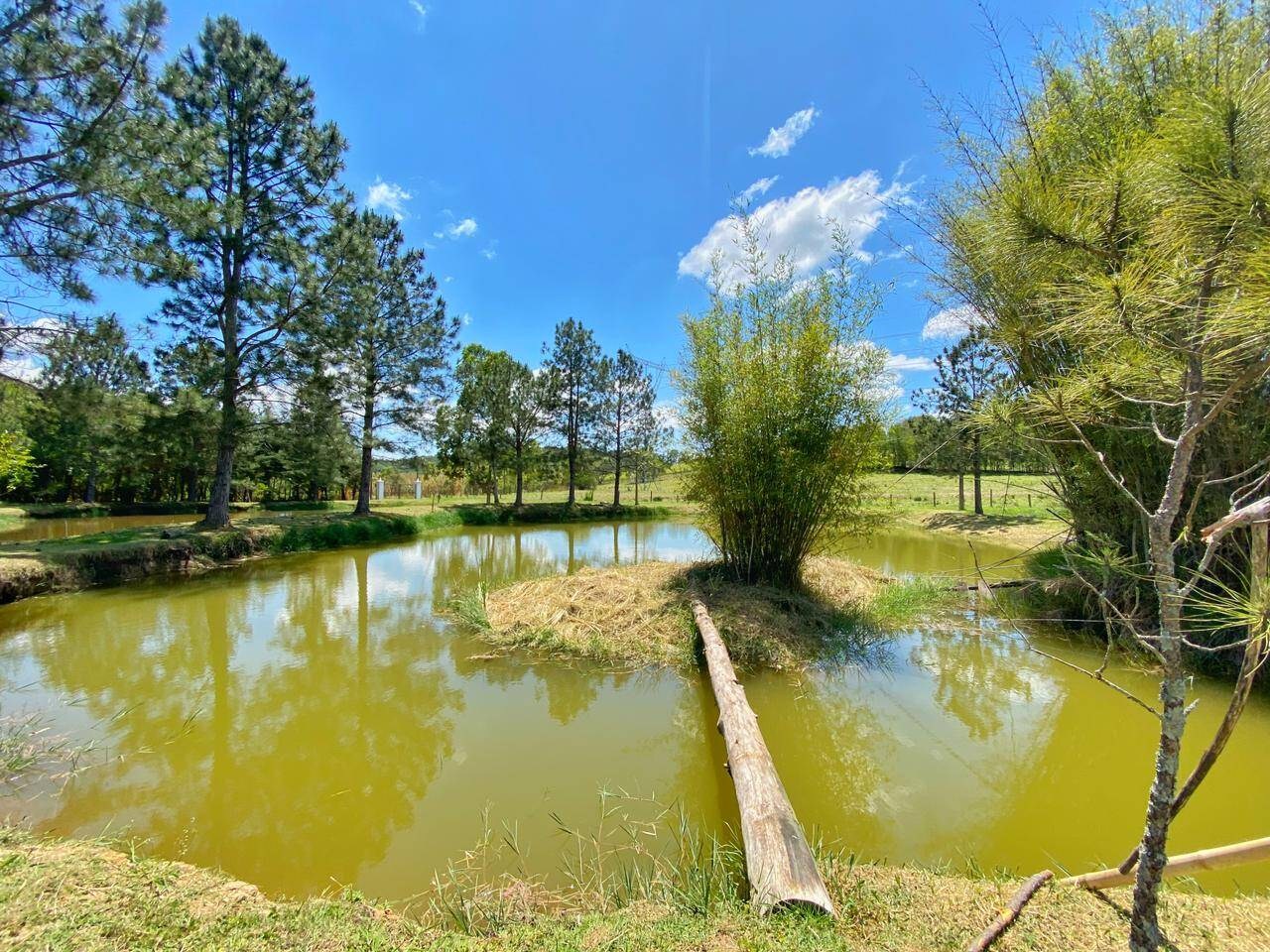 Sítio, 6 quartos, 6 hectares - Foto 41