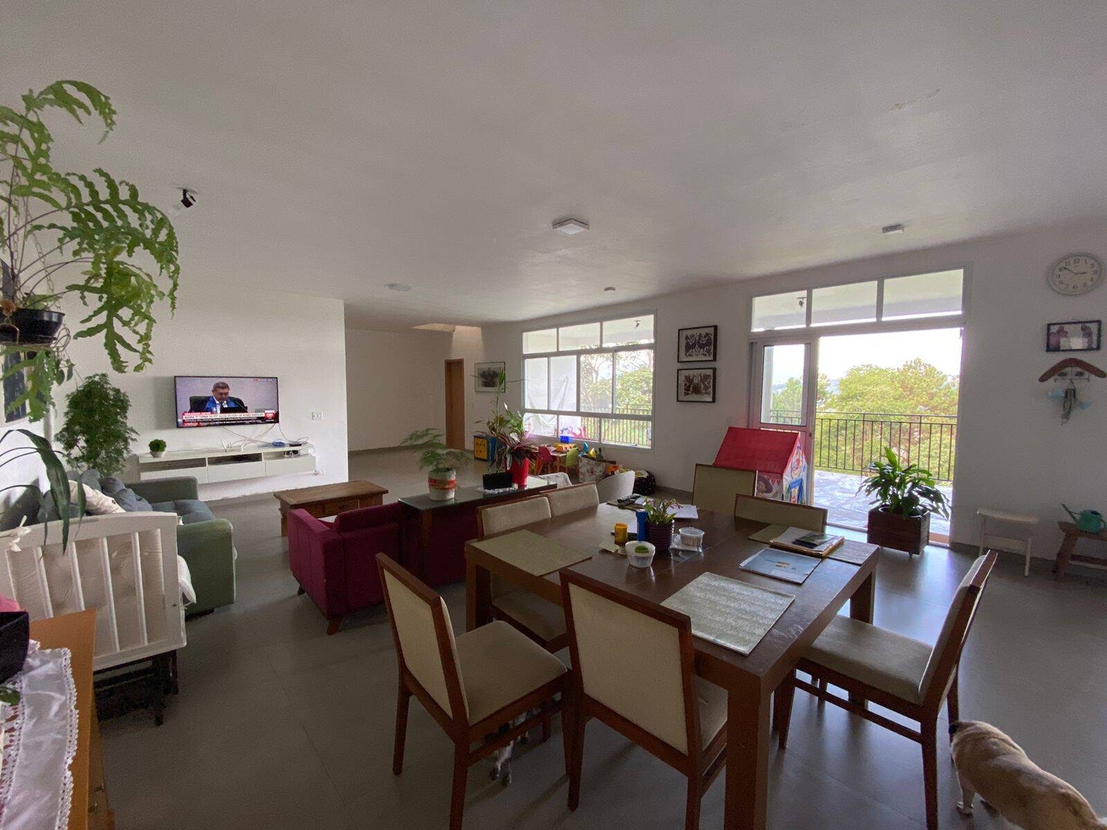 Chácara, 6 quartos, 3140 m² - Foto 27