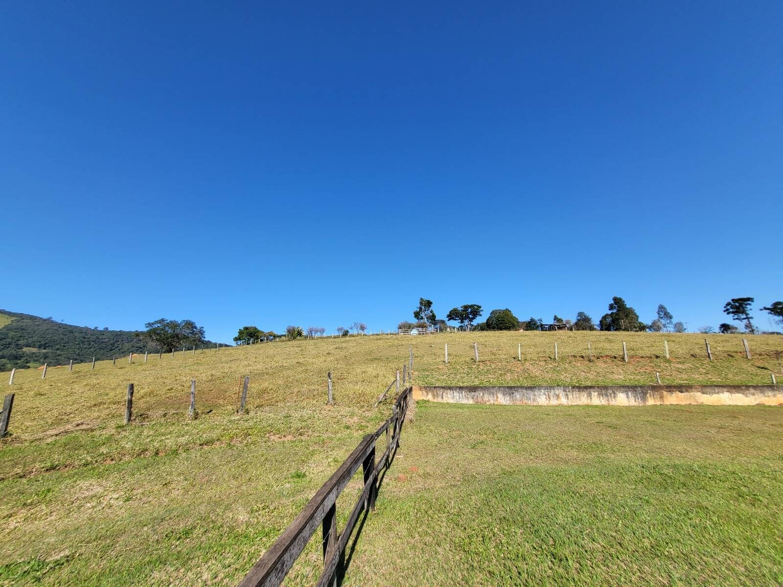 Sítio, 7 quartos, 3 hectares - Foto 31
