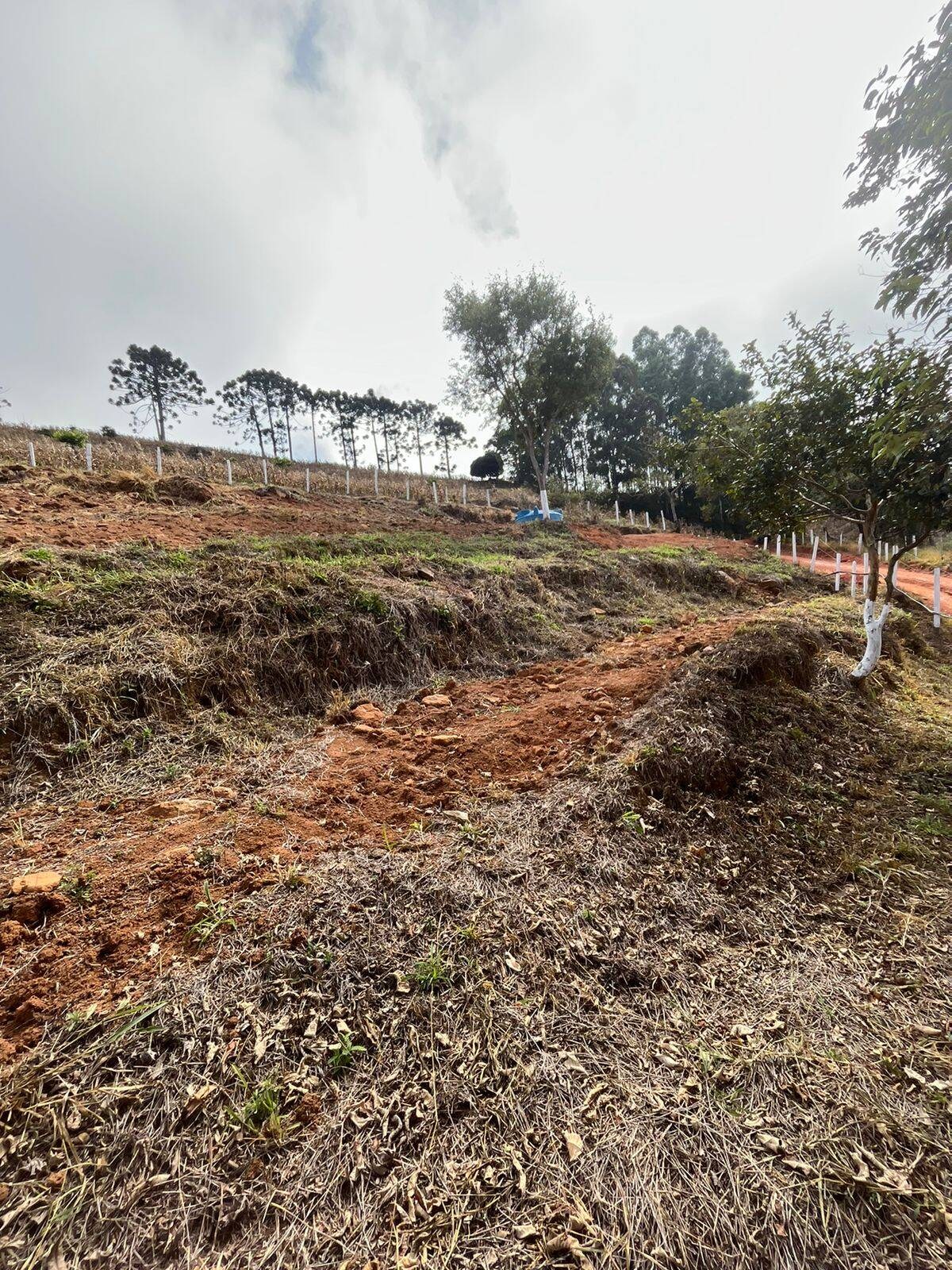 Terreno, 8000 m² - Foto 13