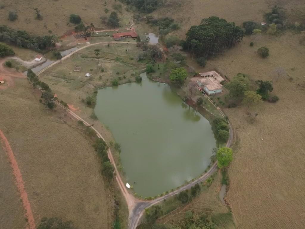 Sítio, 4 quartos, 605 hectares - Foto 13