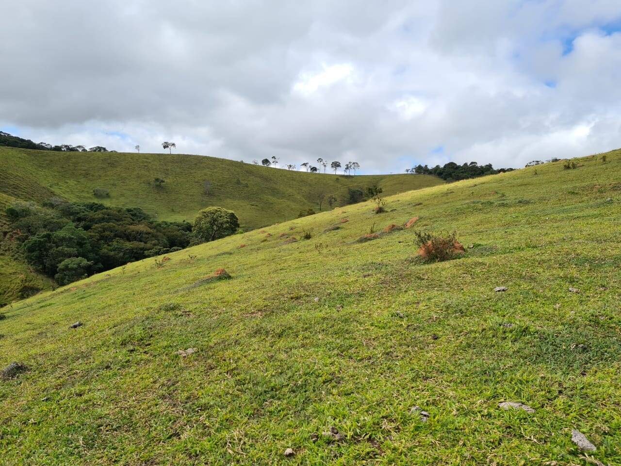 Sítio, 3 quartos, 51 hectares - Foto 3