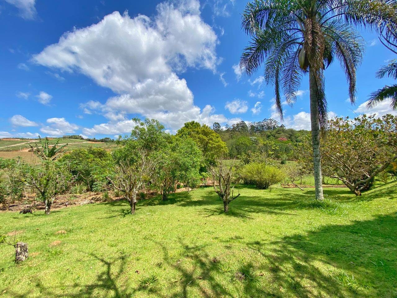 Sítio, 6 quartos, 6 hectares - Foto 17