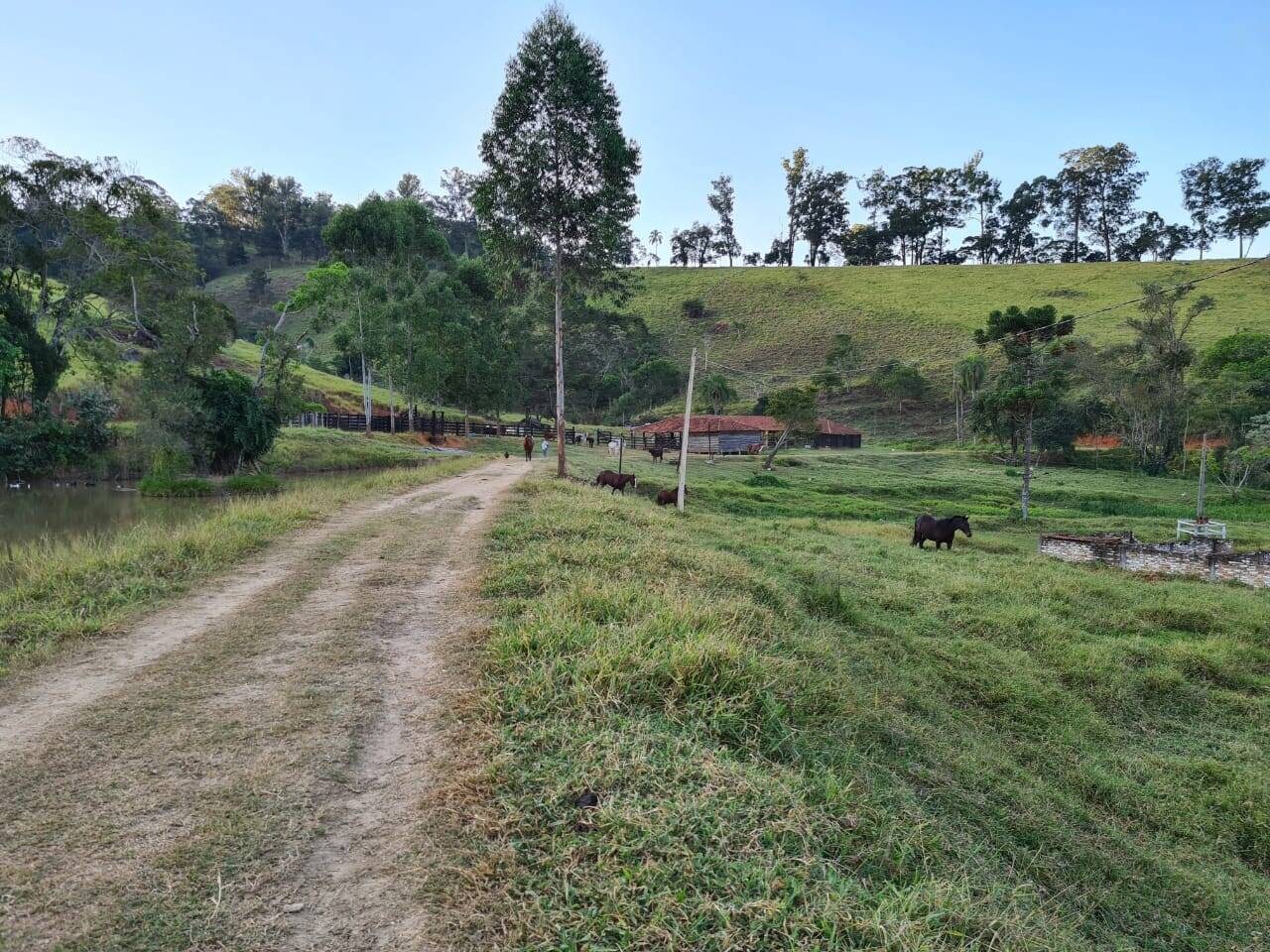 Sítio, 4 quartos, 605 hectares - Foto 36