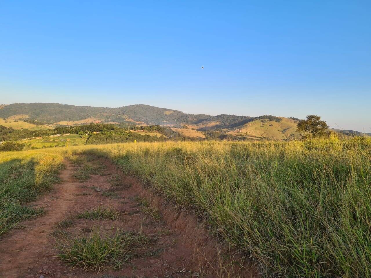 Sítio, 4 quartos, 605 hectares - Foto 30