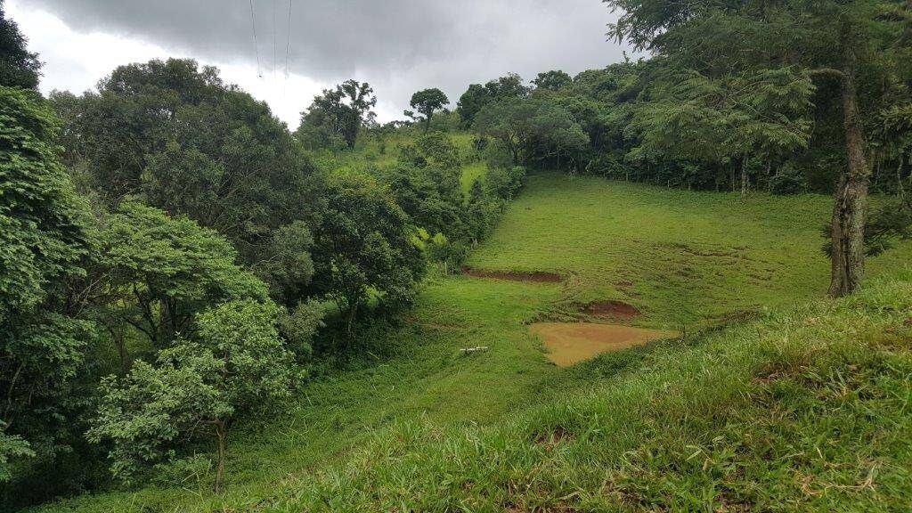 Chácara, 2 quartos, 10 hectares - Foto 21