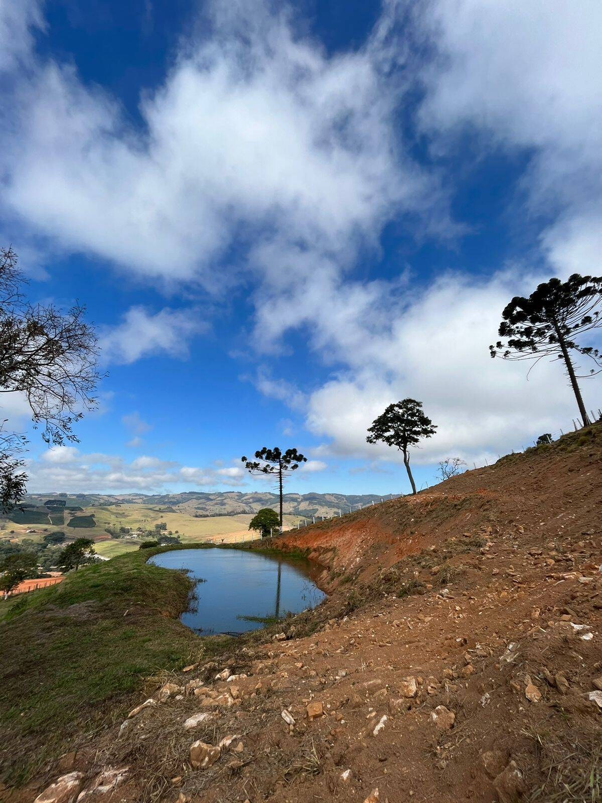 Terreno, 8000 m² - Foto 1
