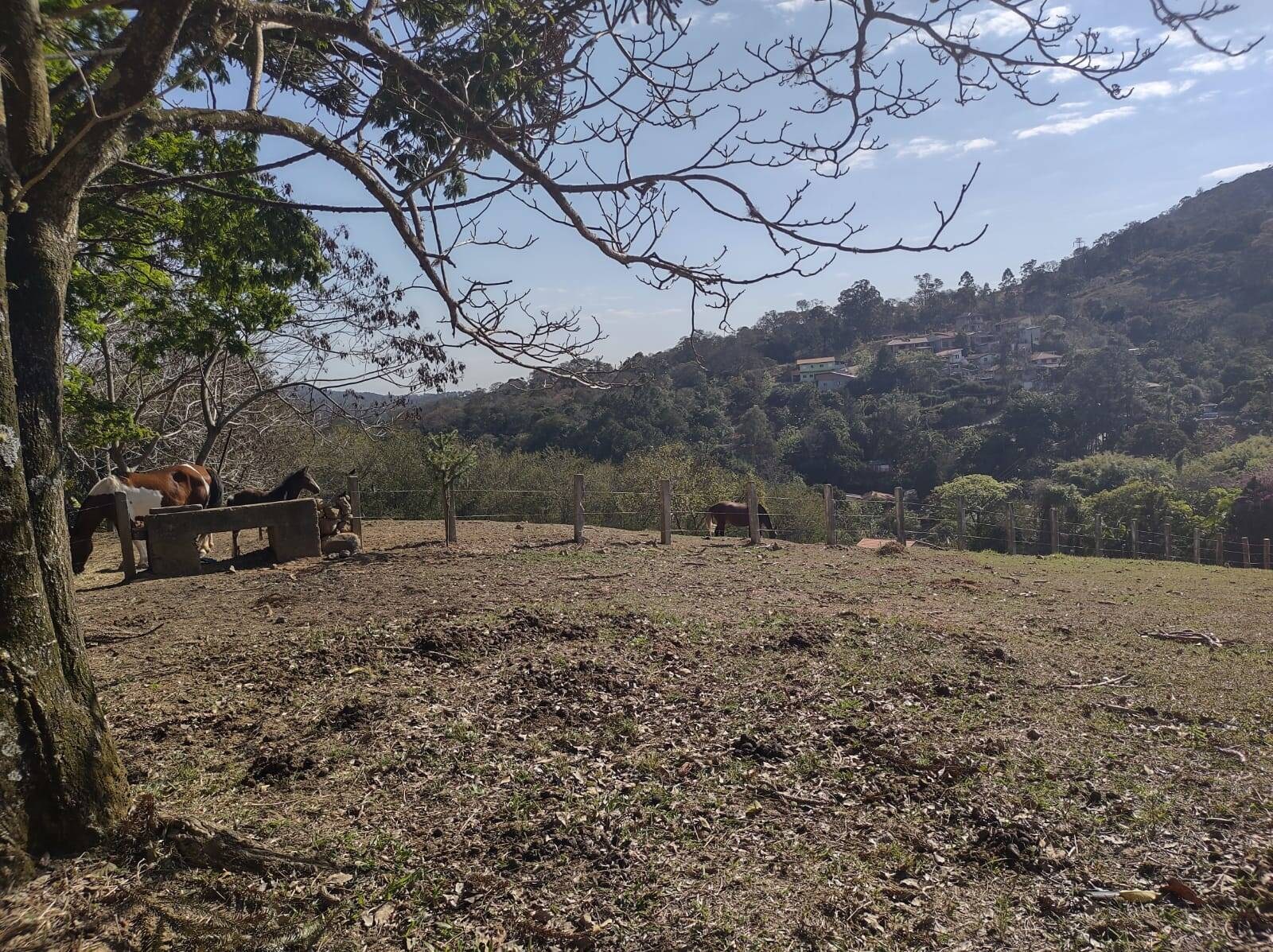 Sítio, 6 quartos, 24 hectares - Foto 17