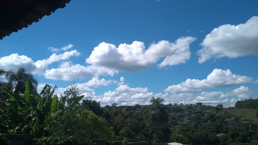 Chácara, 4 quartos, 1350 m² - Foto 5