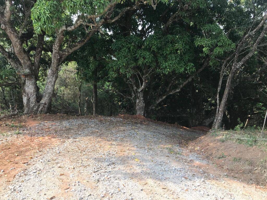 Terreno, 8000 m² - Foto 13