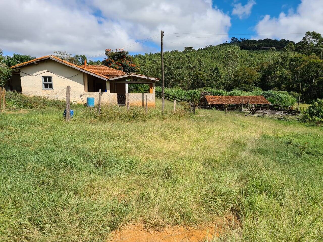 Sítio, 3 quartos, 51 hectares - Foto 6