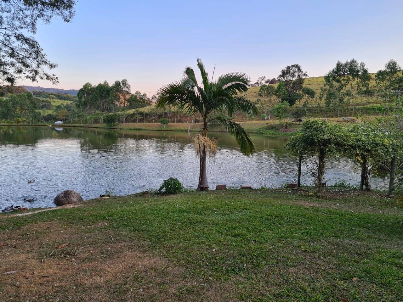 Sítio, 4 quartos, 605 hectares - Foto 7