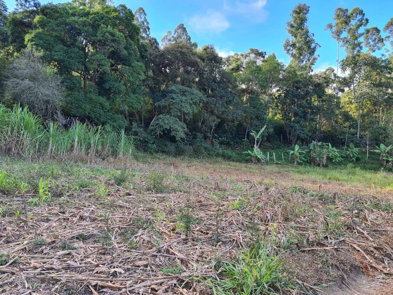 Sítio, 2 quartos, 6 hectares - Foto 12