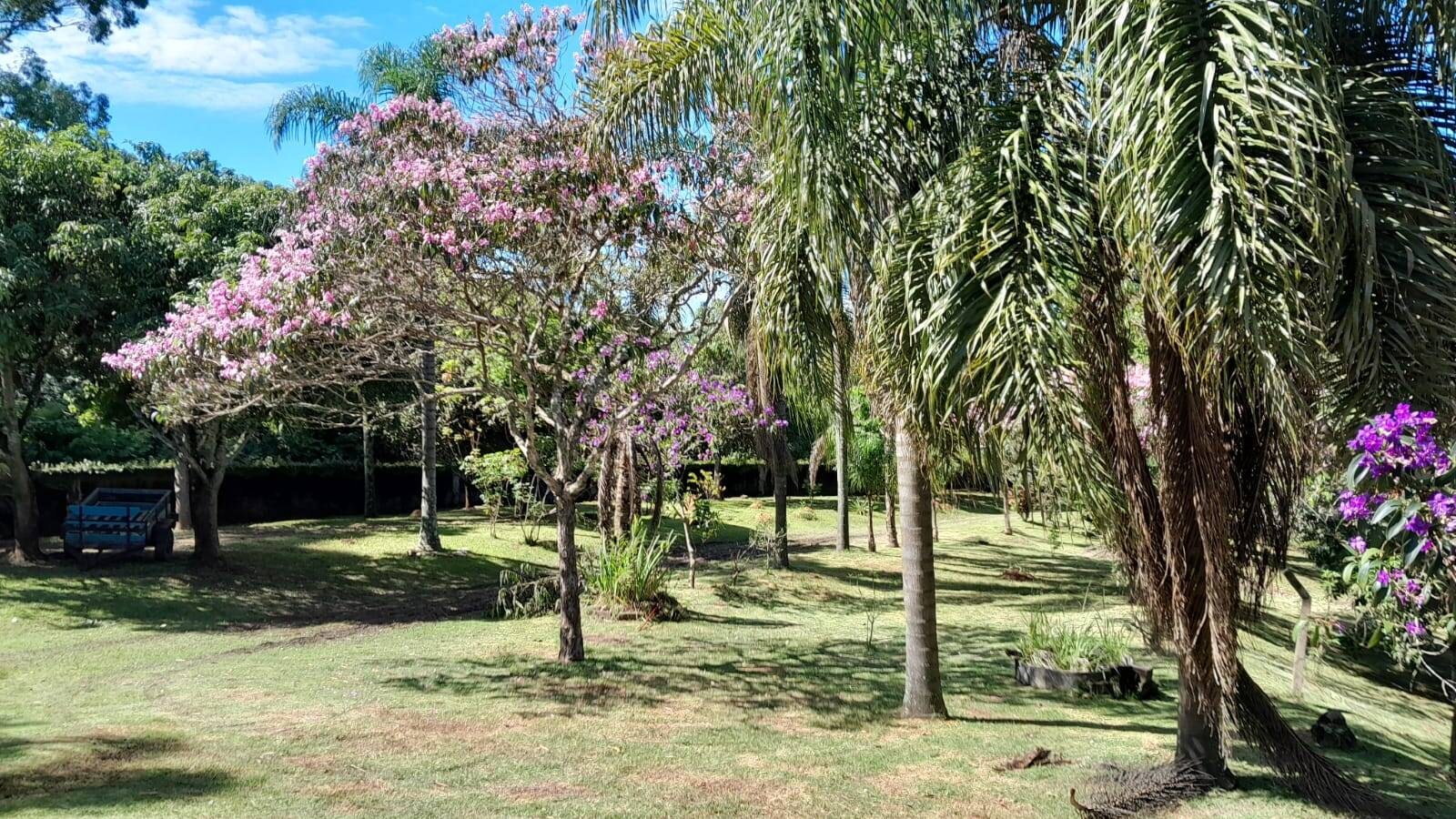 Chácara, 5 quartos, 3662 m² - Foto 21