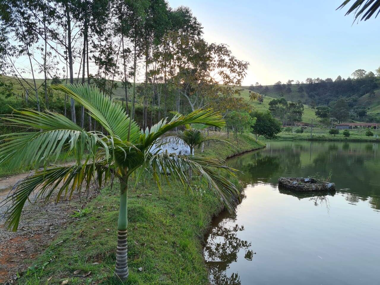 Sítio, 4 quartos, 605 hectares - Foto 38