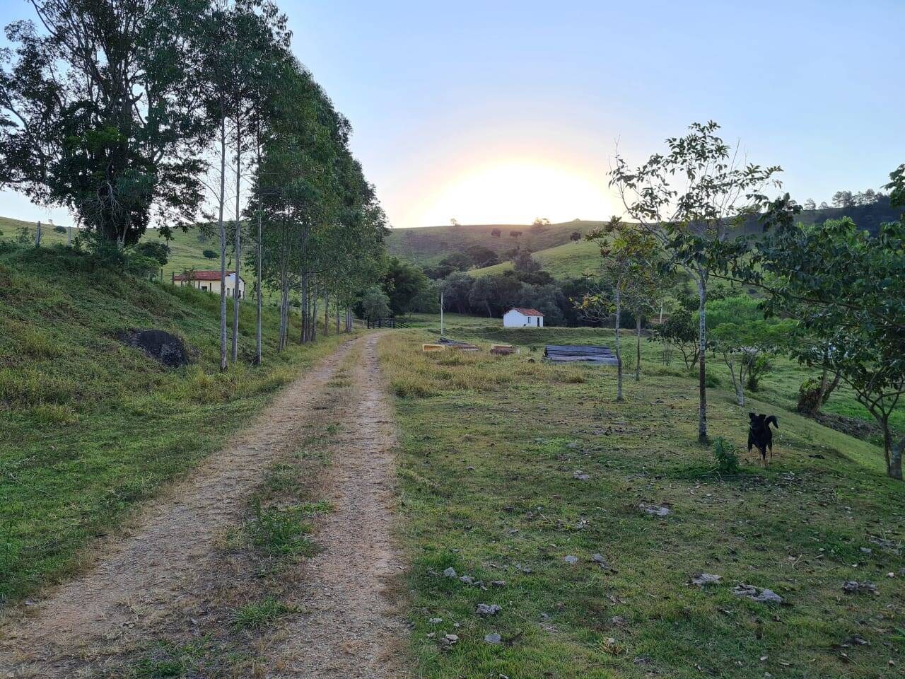 Sítio, 4 quartos, 605 hectares - Foto 41