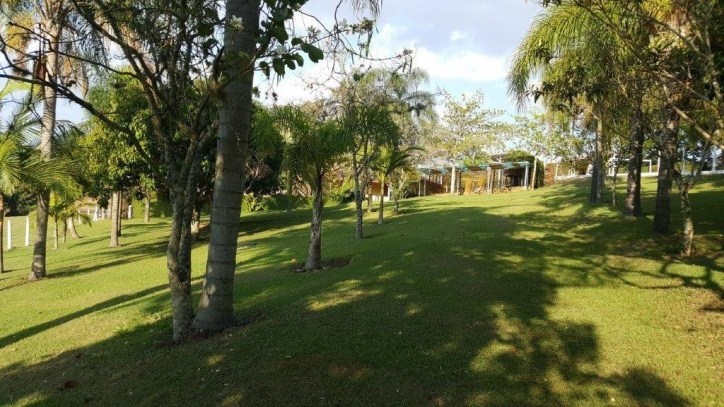 Sítio, 3 quartos, 3 hectares - Foto 37