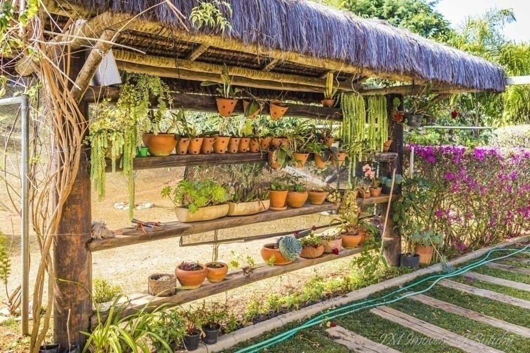 Chácara, 5 quartos, 5000 m² - Foto 52