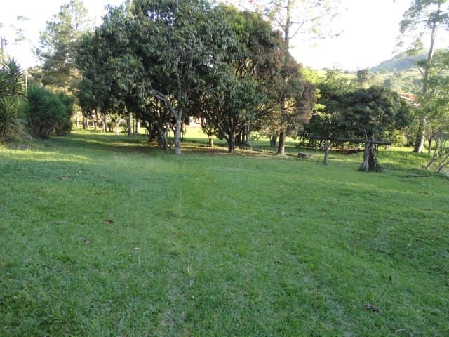 Sítio, 3 quartos, 4 hectares - Foto 23