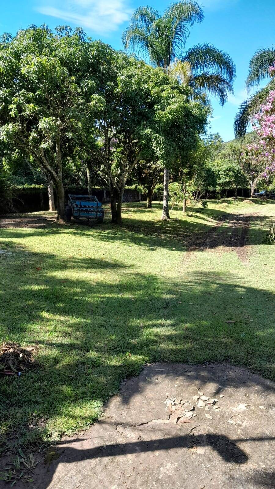 Chácara, 5 quartos, 3662 m² - Foto 15
