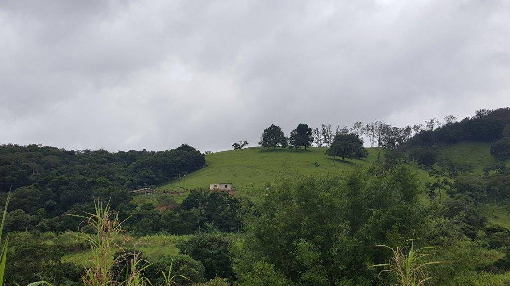 Chácara, 2 quartos, 10 hectares - Foto 4