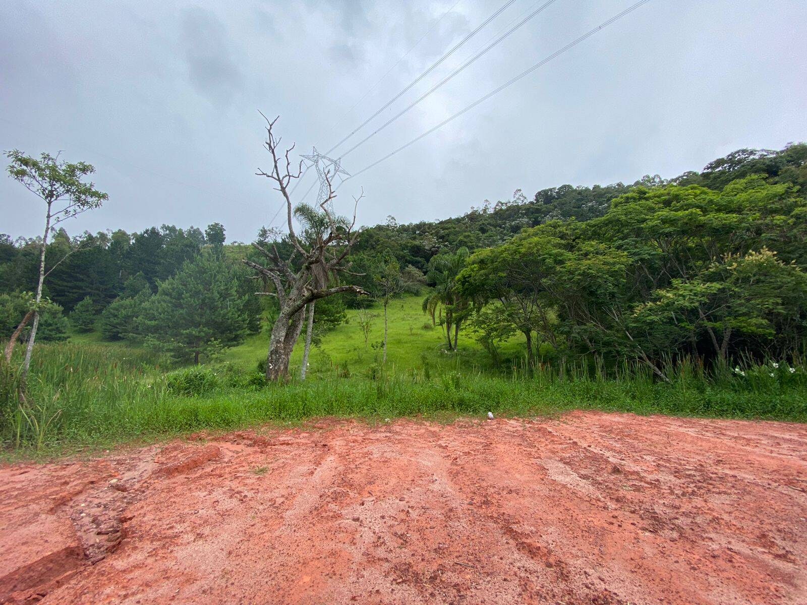 Terreno, 7 hectares - Foto 4