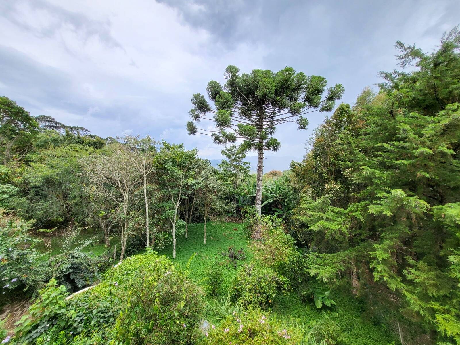 Chácara, 3 quartos, 1000 m² - Foto 15