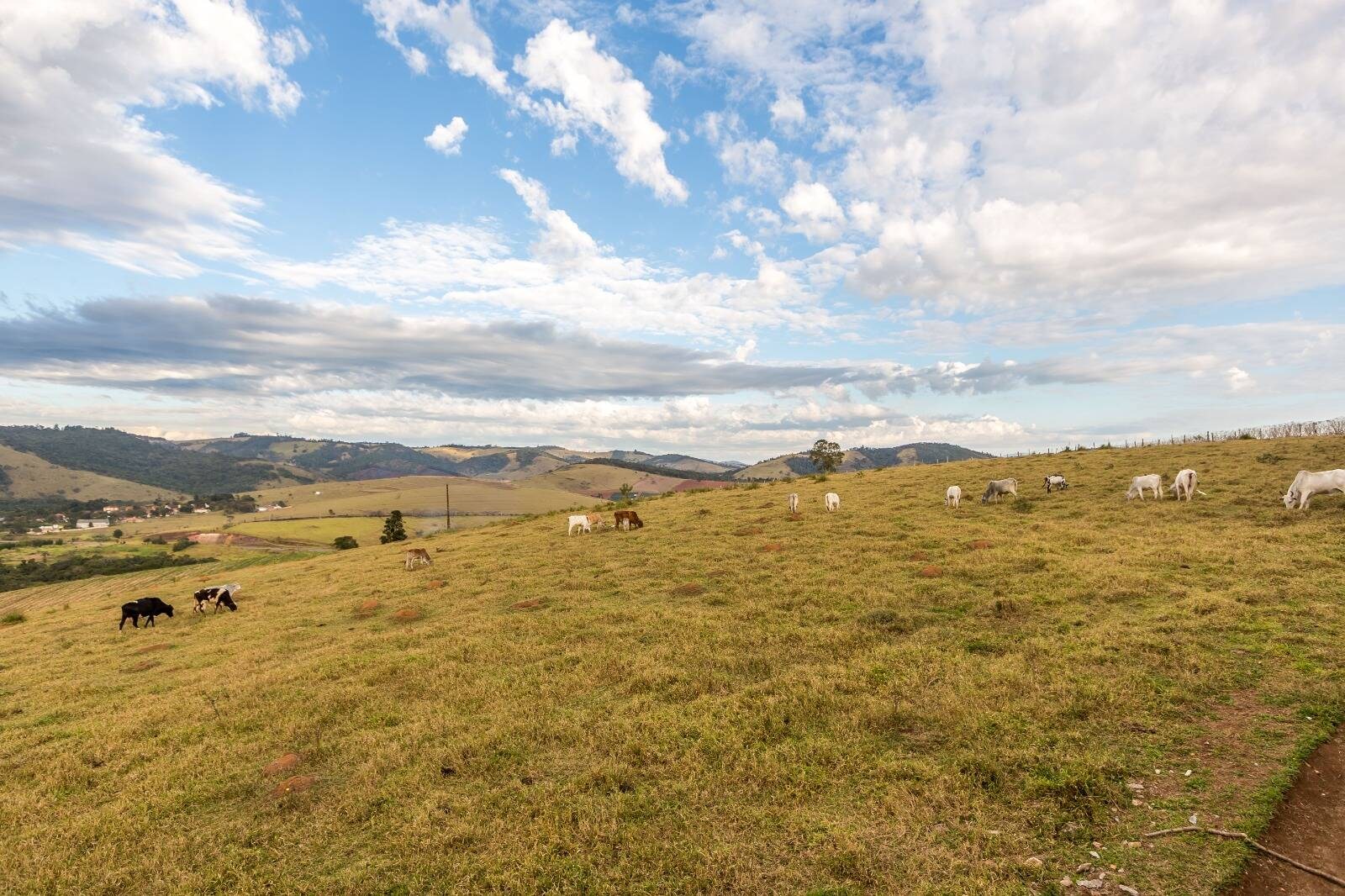 Chácara, 5 quartos, 1500 m² - Foto 38