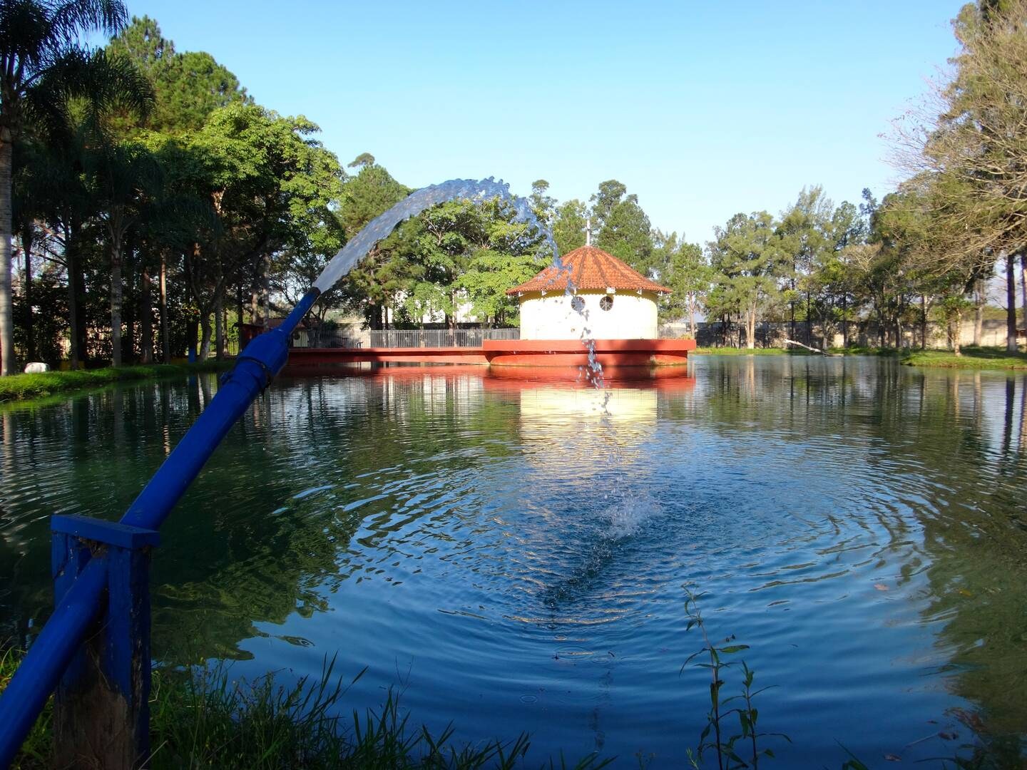 Sítio, 12 quartos, 10 hectares - Foto 39