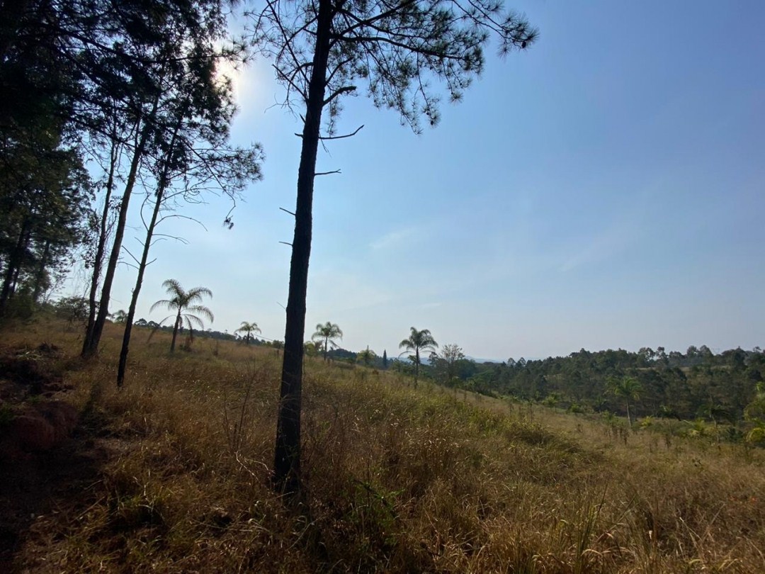 Terreno, 2 hectares - Foto 4