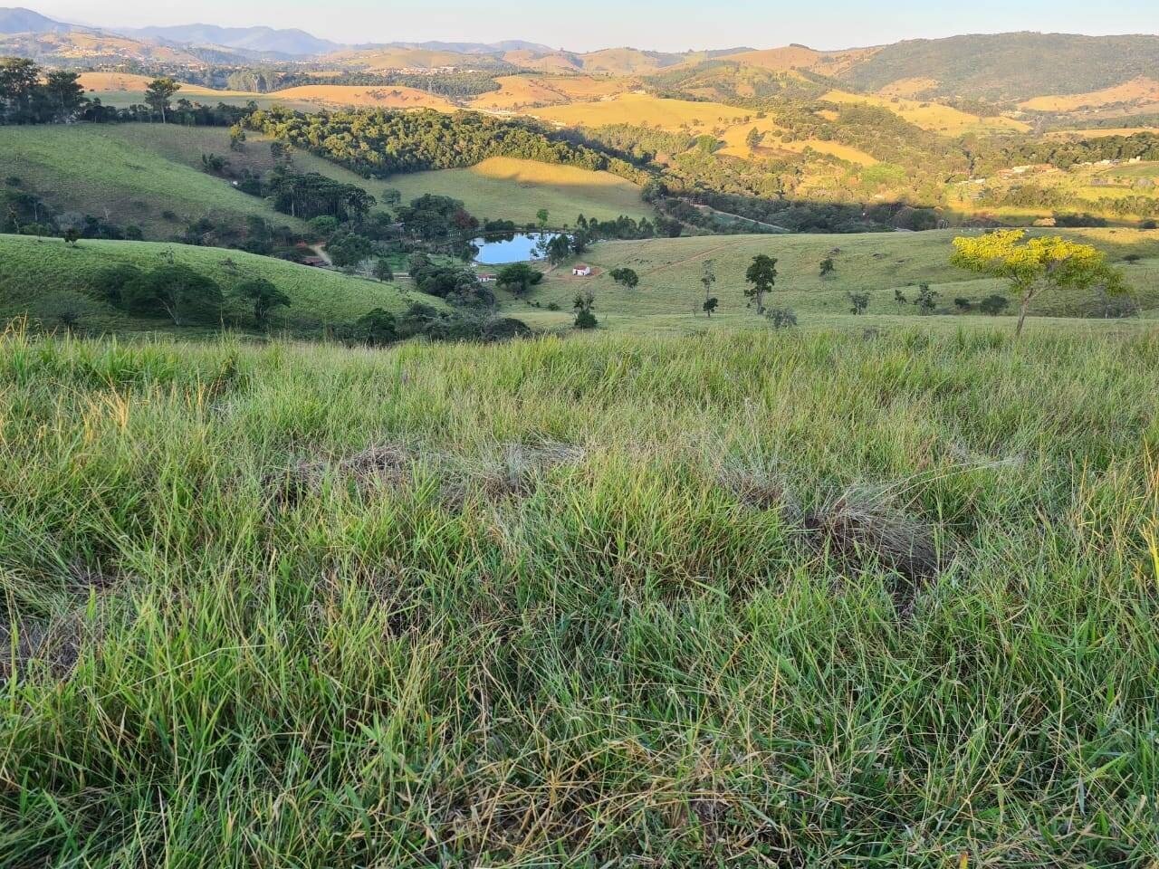 Sítio, 4 quartos, 605 hectares - Foto 31