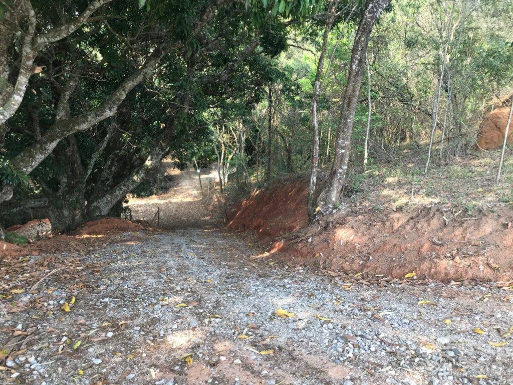 Terreno, 8000 m² - Foto 16