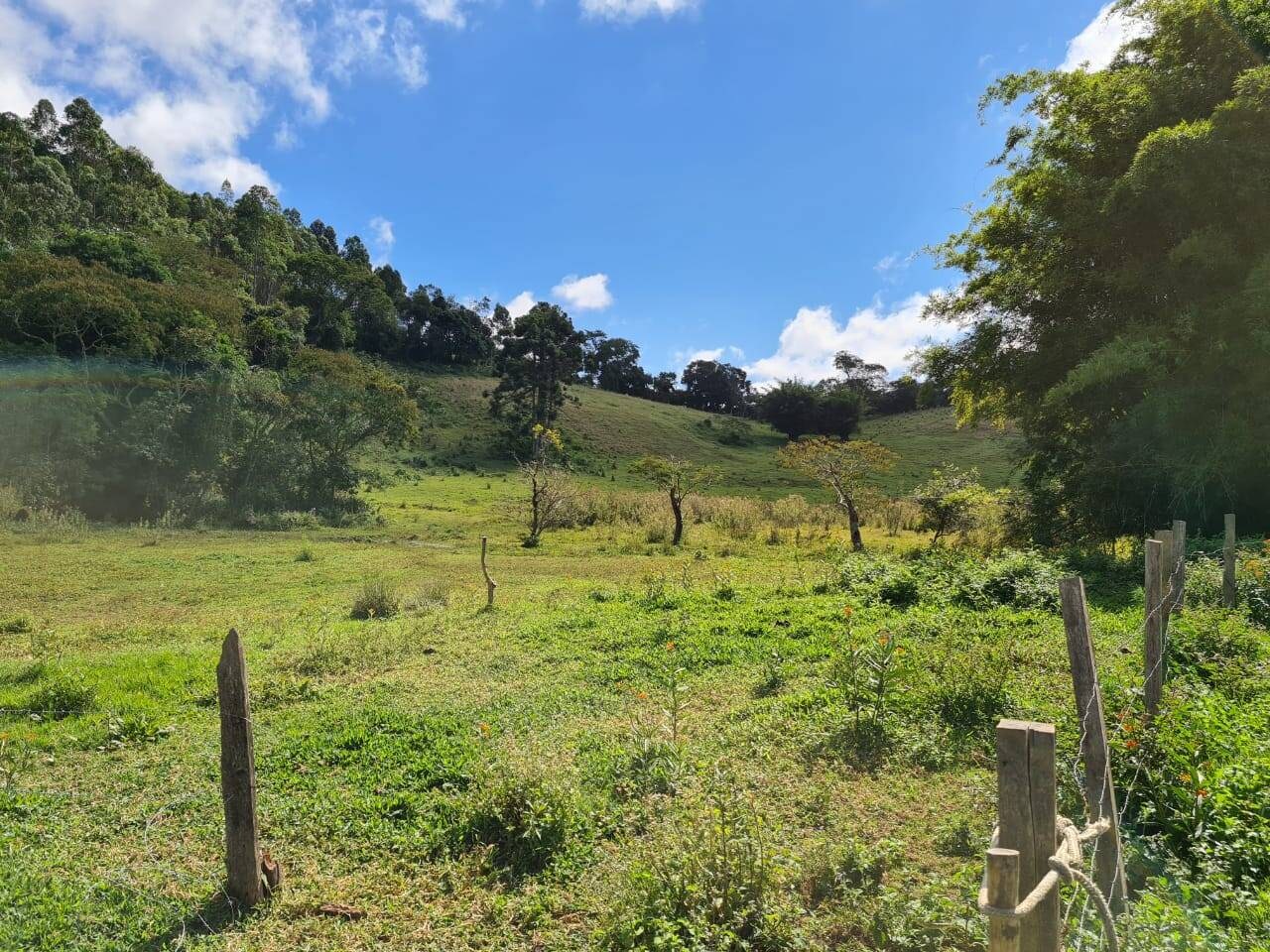 Sítio, 3 quartos, 51 hectares - Foto 22