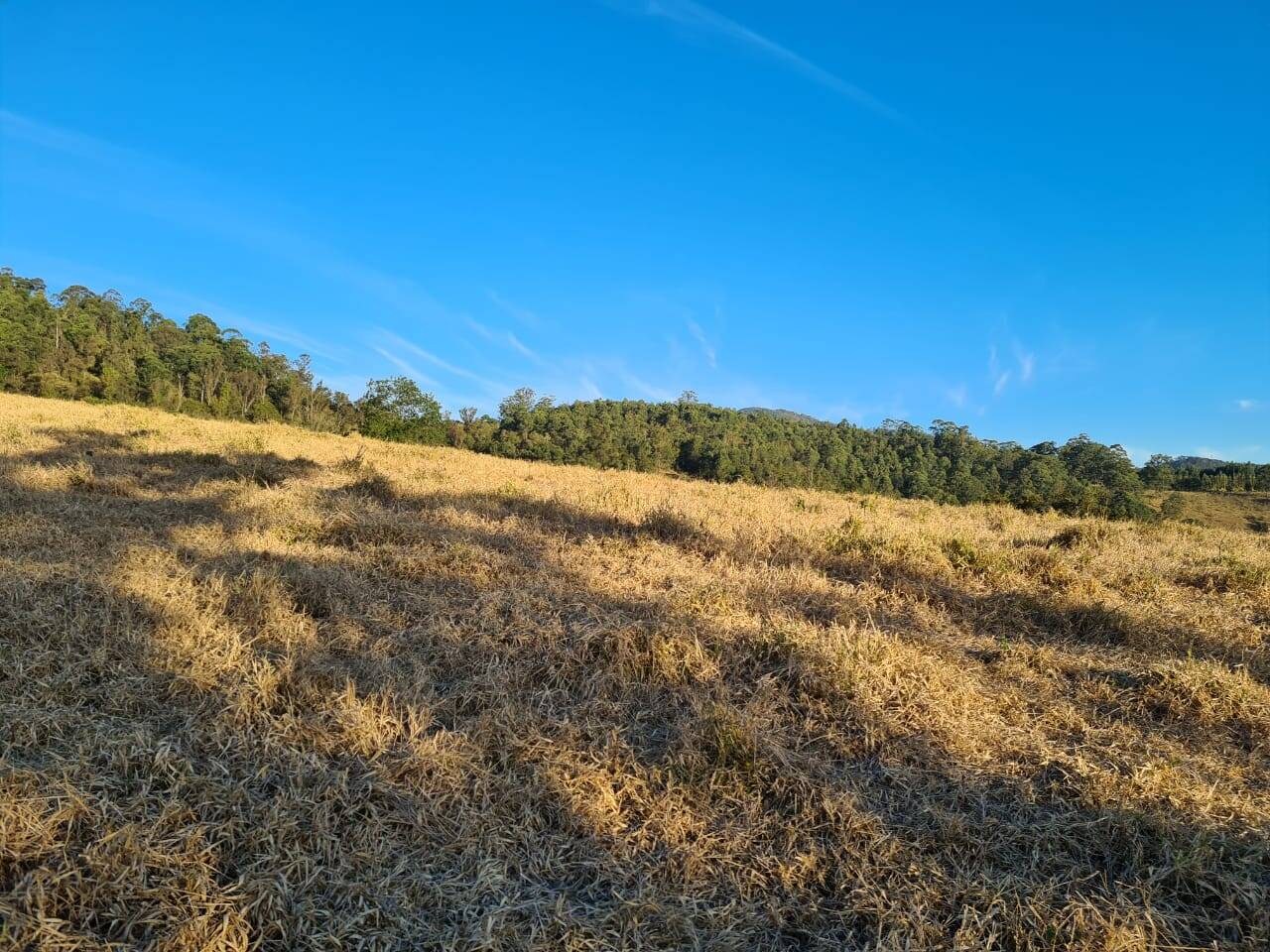 Chácara, 2 quartos, 10 hectares - Foto 23