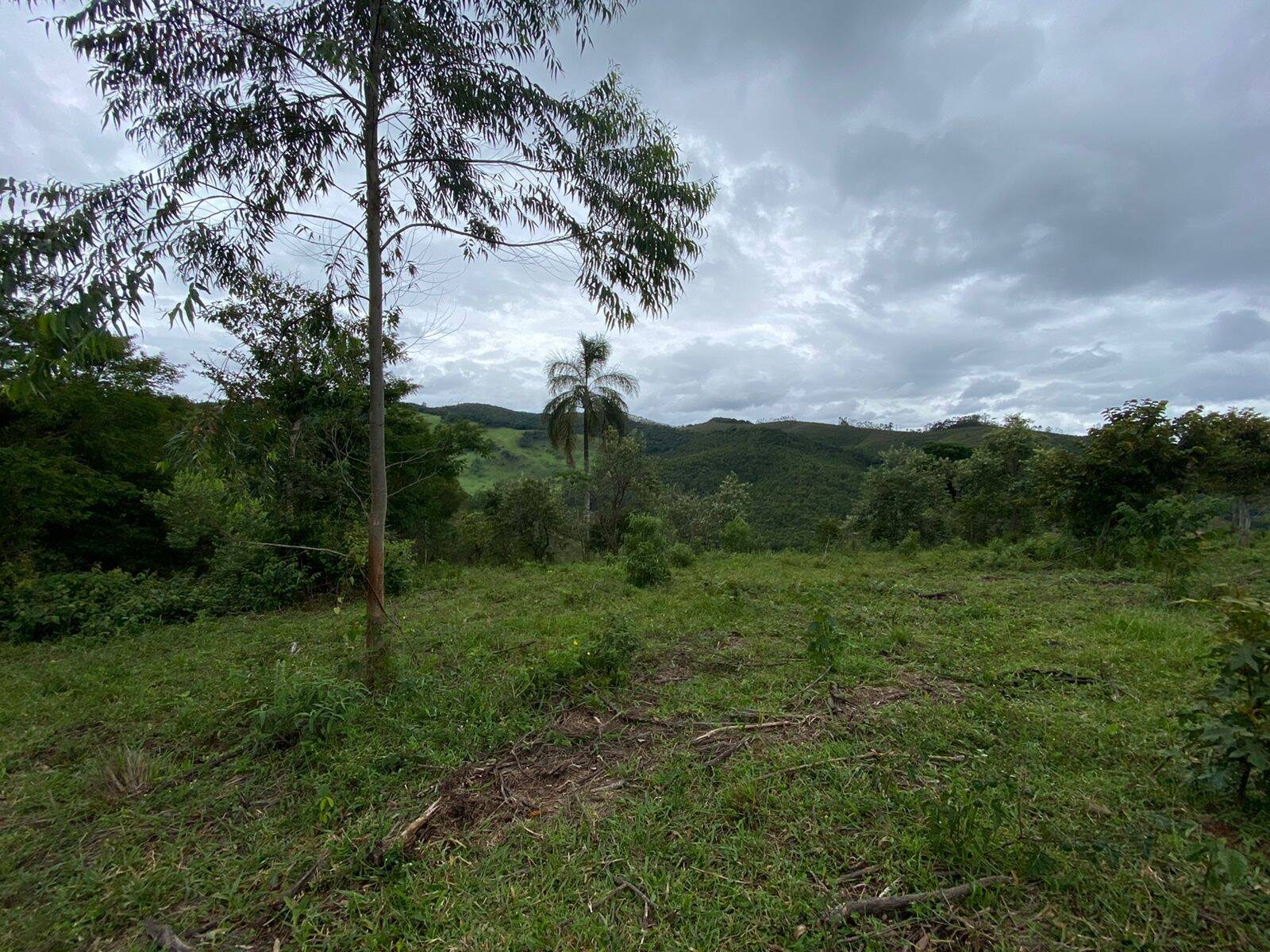 Sítio, 1 quarto, 19 hectares - Foto 25