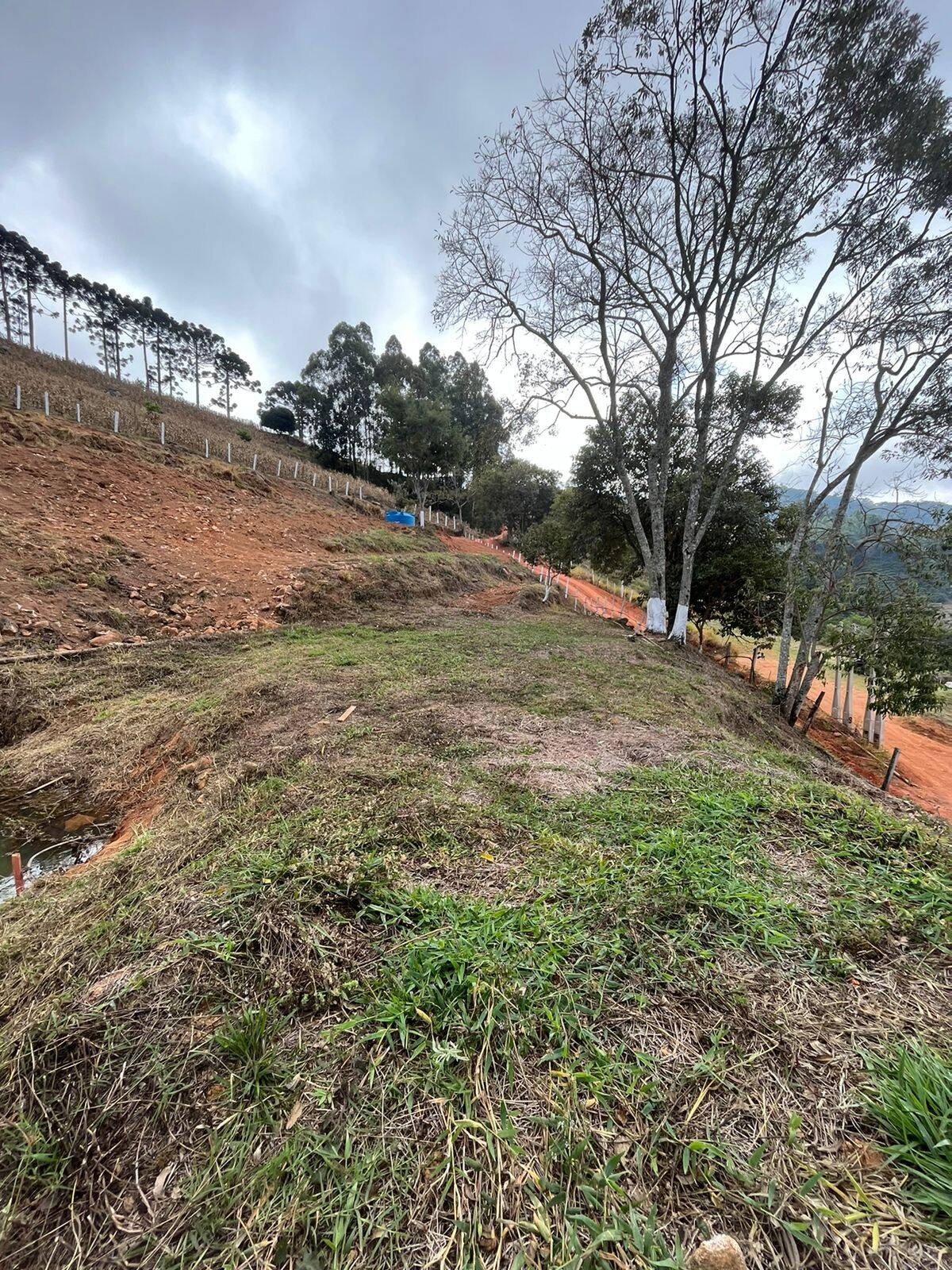 Terreno, 8000 m² - Foto 9