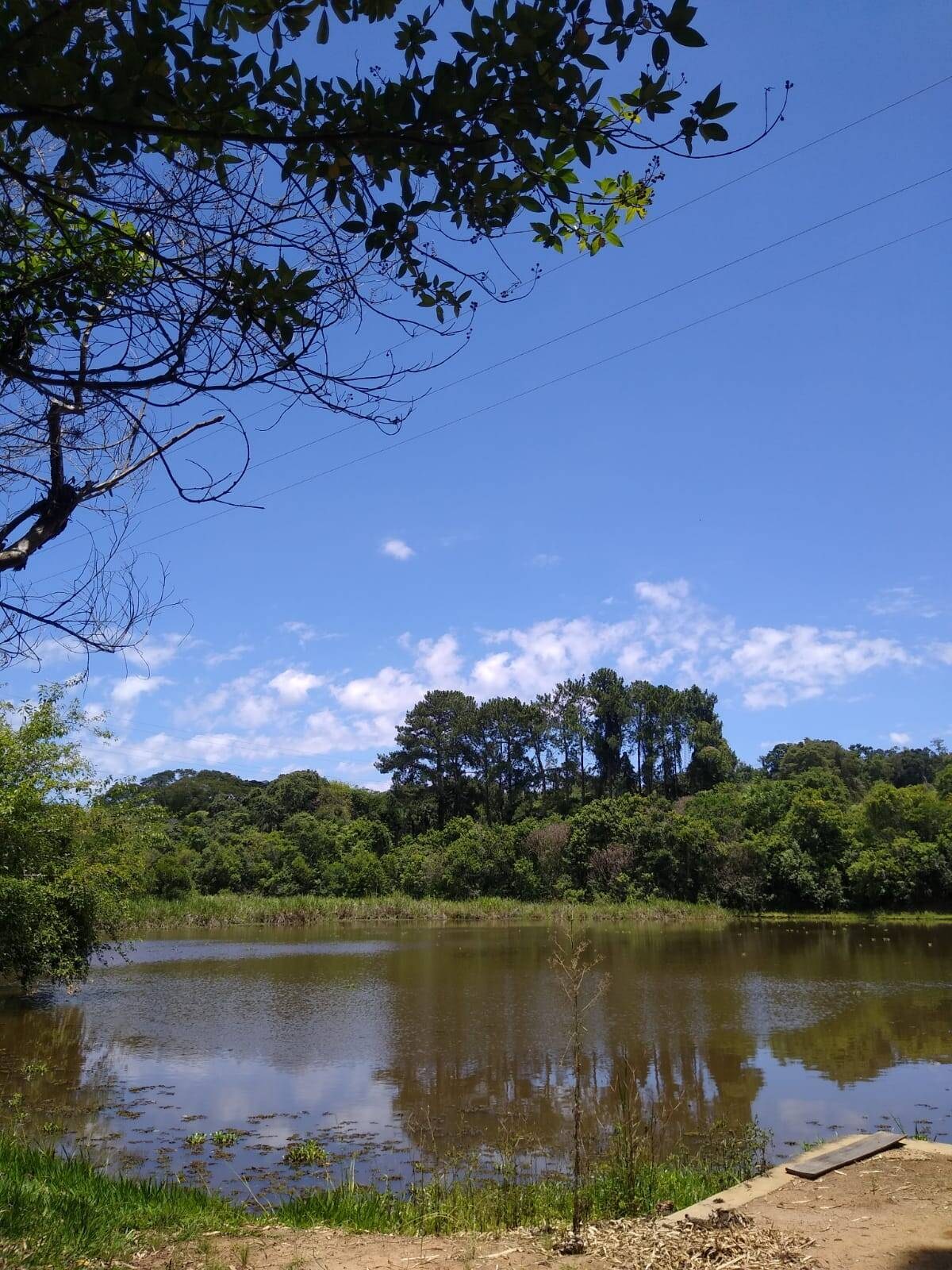 Chácara, 2 hectares - Foto 15